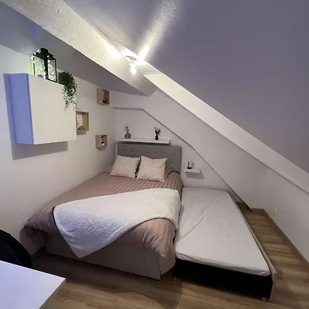 Apartment Le Cocon Versaillais, A 5 Minutes Du Chateau De Versailles *